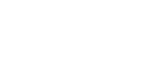 logo-oceane-profils-blanc